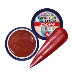 ENG Color gel CLG CAPRICORN-2839  5ml