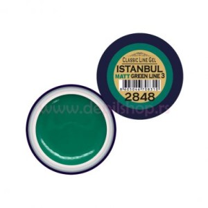 ENG Color gel CLG ISTANBUL-2848 5ml ENG Color gel CLG ISTANBUL-2848 5ml