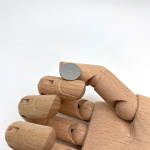 IZM Disk S + 50/1 turpija