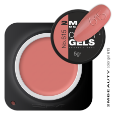 2M BEAUTY  GEL U BOJI - MAT 615 5g