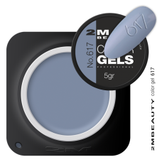 2M BEAUTY  GEL U BOJI - MAT 617 5g