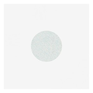 STALEKS Zamenski nastavci za pedikir disk L (240) 50/1 WHITE