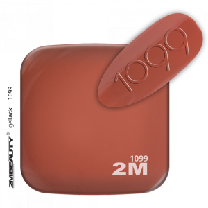 2M BEAUTY  GEL LAK - MAT 1099 5ml