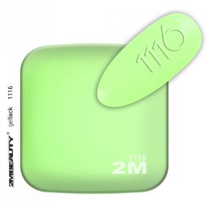 2M BEAUTY  GEL LACK - MAT 1116 5ml