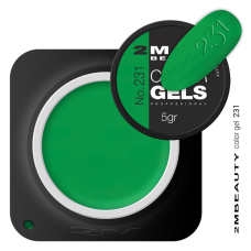2M BEAUTY  GEL U BOJI - NEON 231 5g