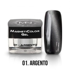 MYSTIC NAILS MagnetiColor Gel - 01 - Argento - 4g