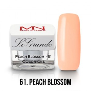 MYSTIC NAILS LEGRANDE color gel - no.61. - Peach Blossom - 4g