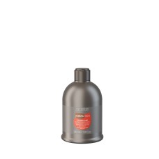 ALTEREGO ITALY Šampon za farbanu kosu CHROMEGO COLOR CARE 300ml