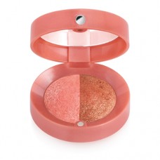 BOURJOIS REGULAR BLUSH DUO POT 001 2.4G